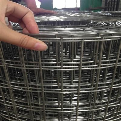 メーカー卸売価格による防錆電流を通された50*50mm溶接金網フェンス1/4インチ穴正方形鋼溶接メッシュ