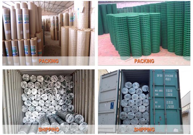 Green Color Pvc Coated Welded Wire Mesh 1/2X1/2